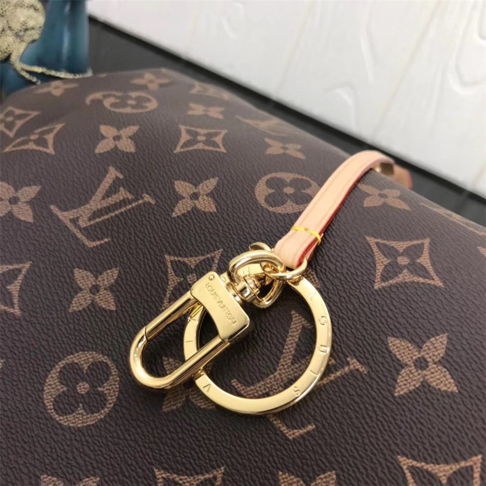 Louis Vuitton Monogram Handbag In Brown  - everydesigner