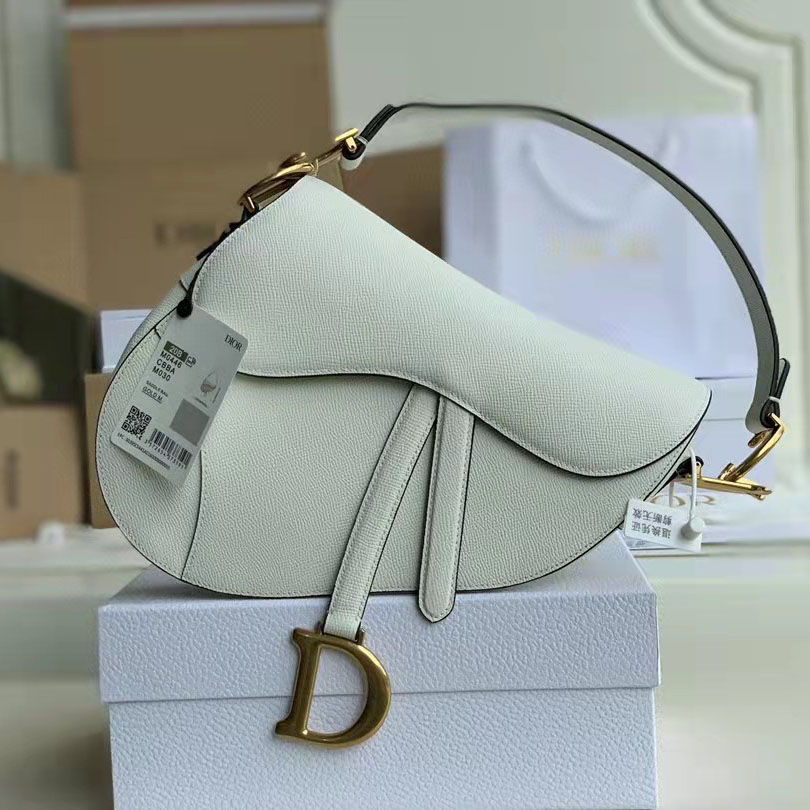 Dior Saddle Bag - everydesigner