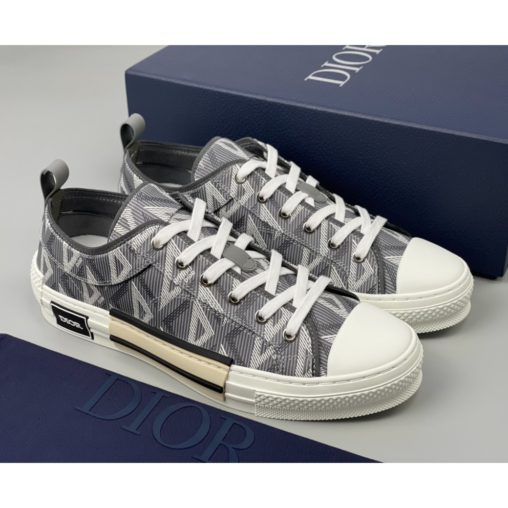 Dior B23 Low-Top Sneaker - everydesigner