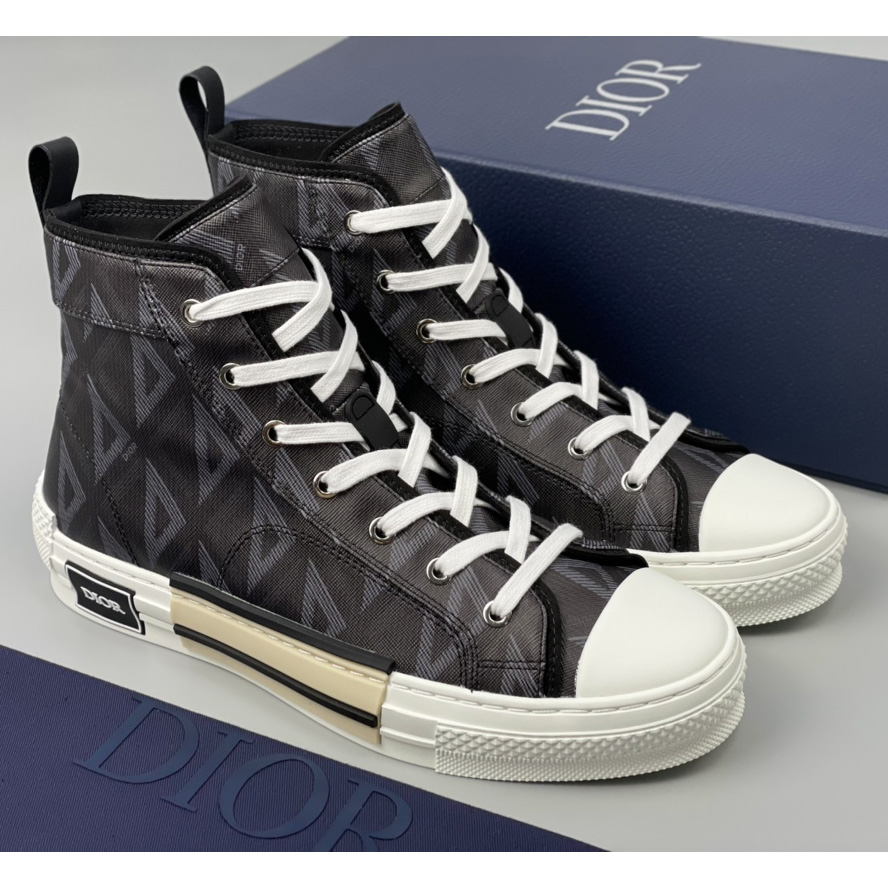 Dior B23 High-Top Sneaker - everydesigner