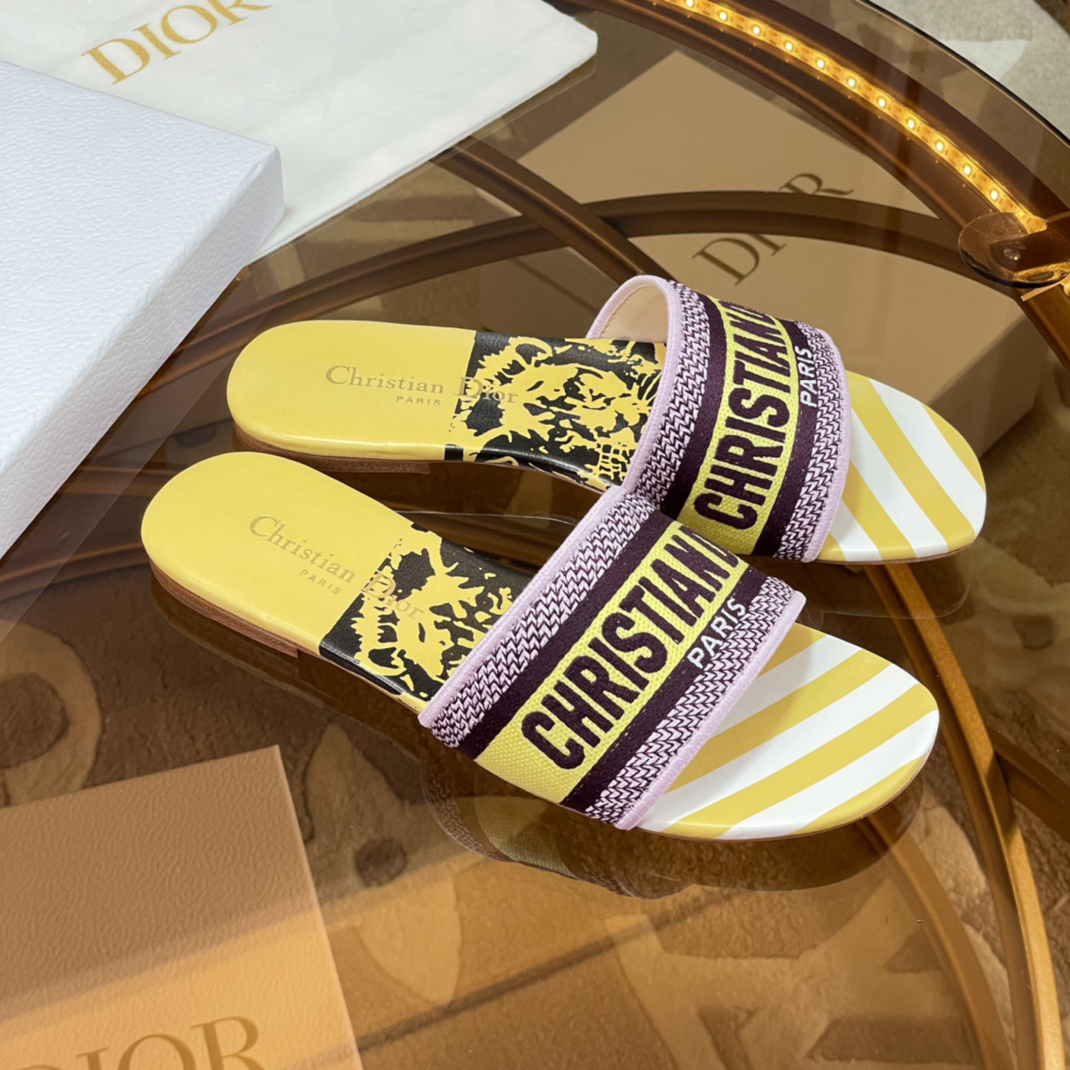 Dior Dway Slide - everydesigner