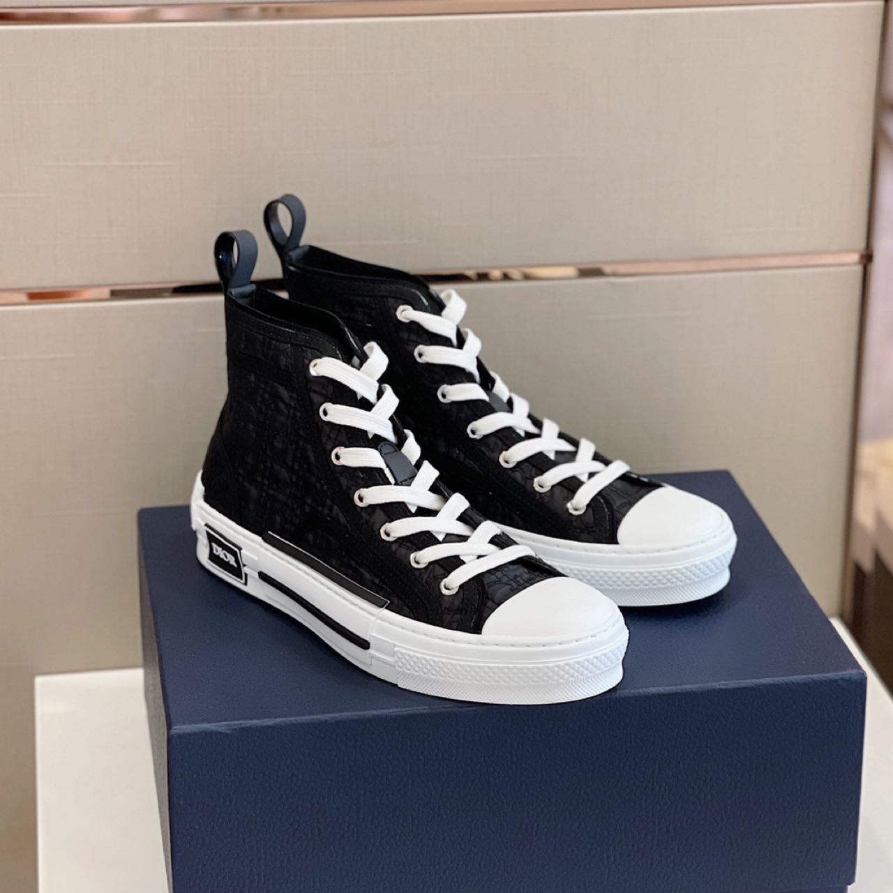 Dior B23 High-Top Sneaker - everydesigner