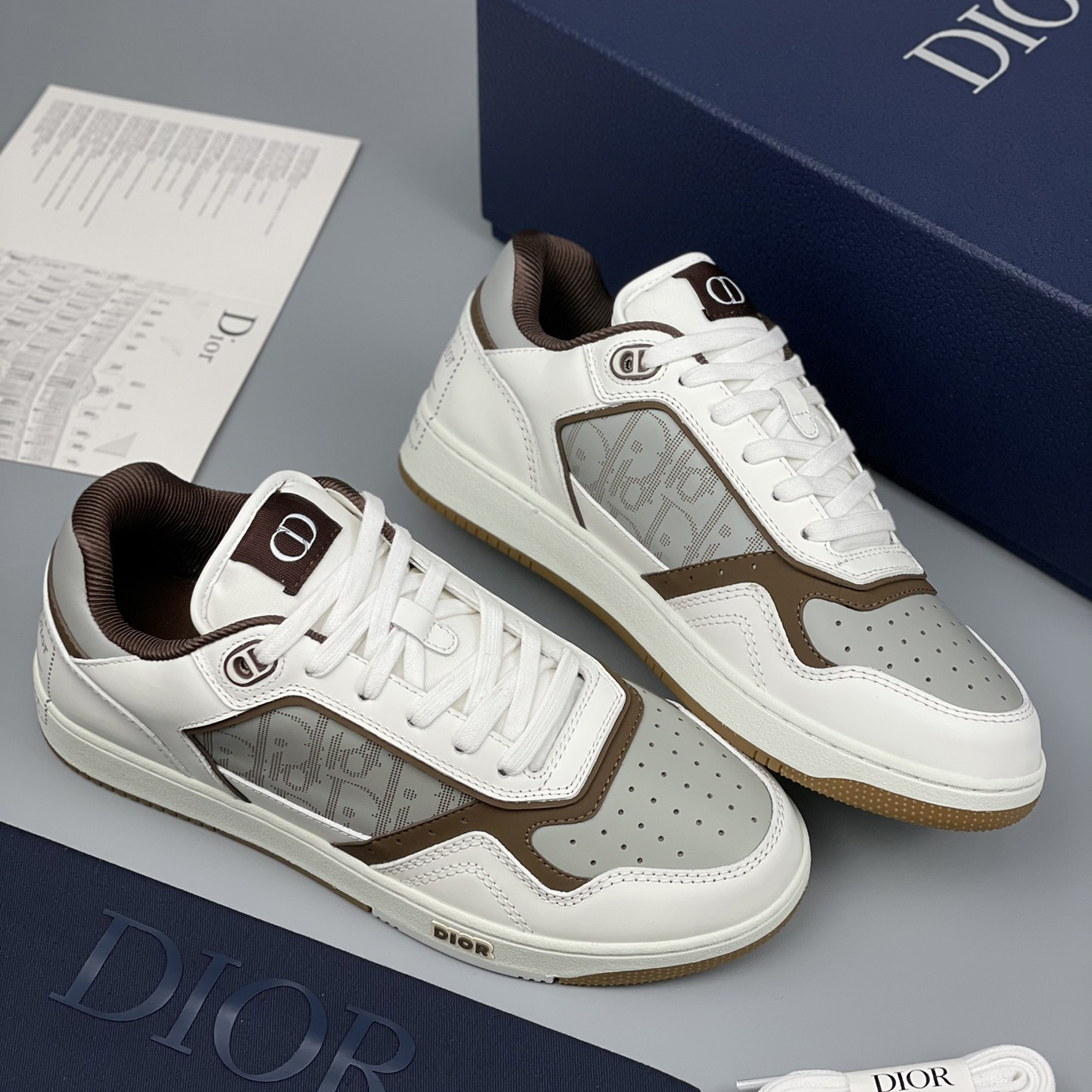 Dior B27 Low-Top Sneaker - everydesigner