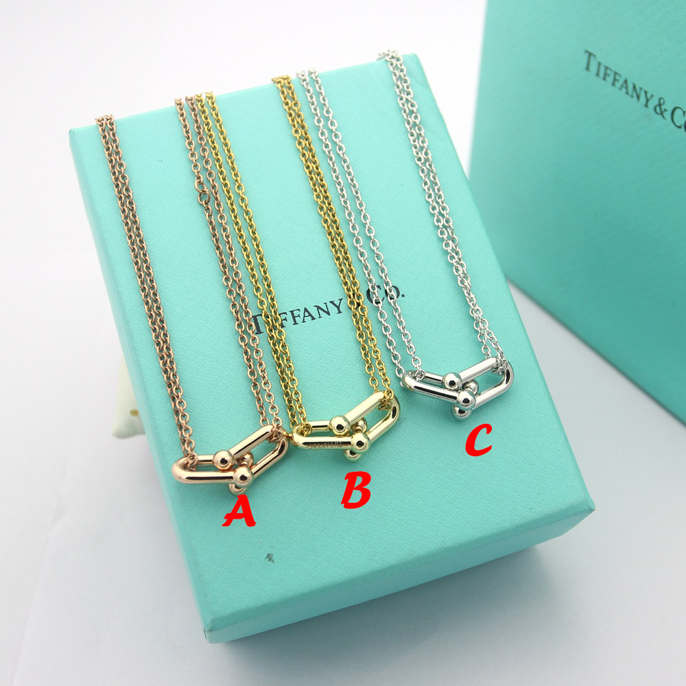 Tiffany&CO Double Link Pendant - everydesigner