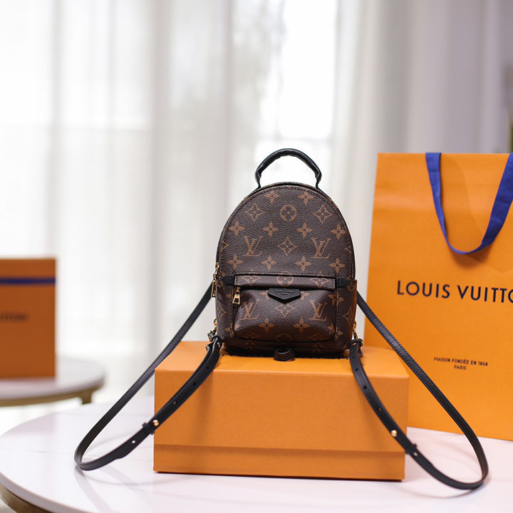 Louis VuittonPalm Springs Mini Backpack(17-22-10cm)   M44873 - everydesigner