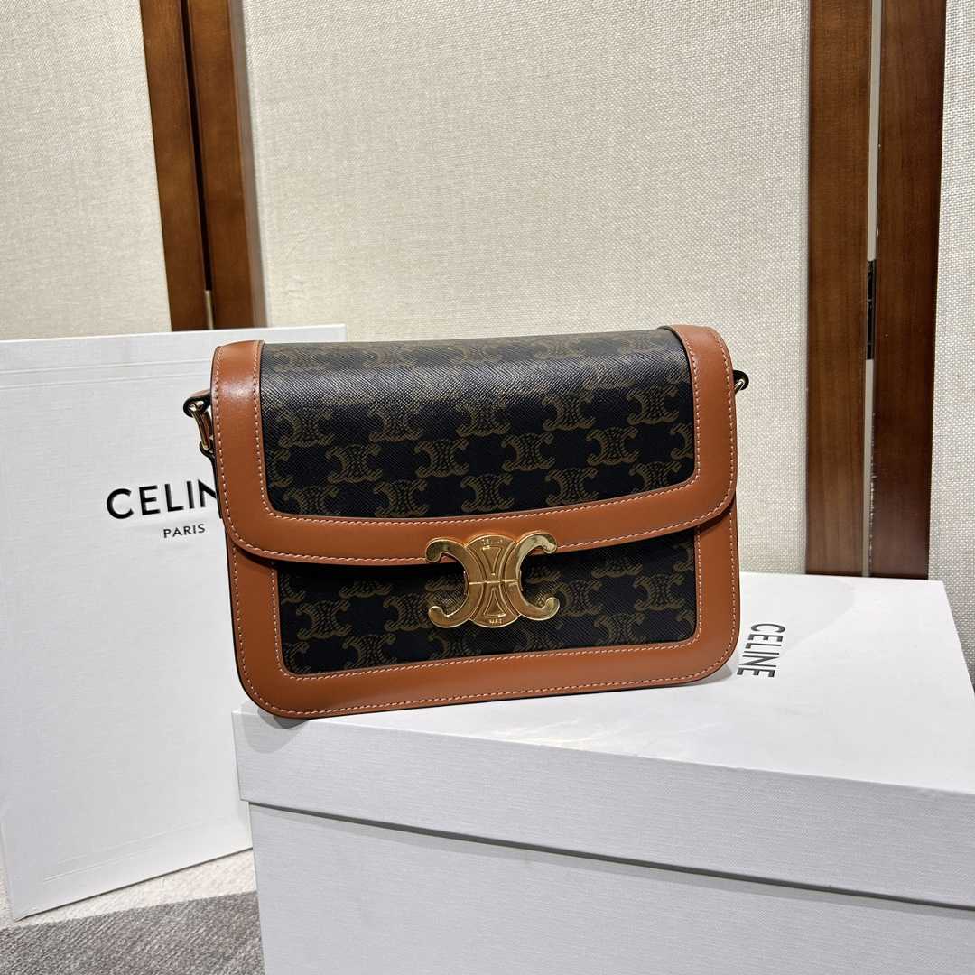 Celine Classique Triomphe Bag In Triomphe Canvas And Calfskin - everydesigner