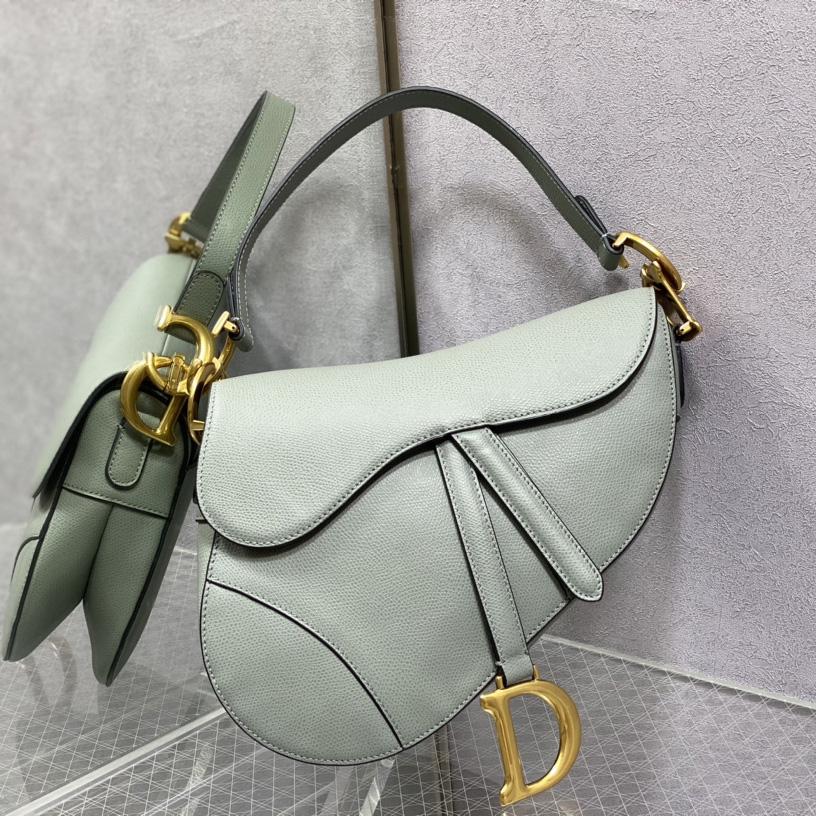 Dior Saddle Bag(25.5-20-6.5cm) - everydesigner