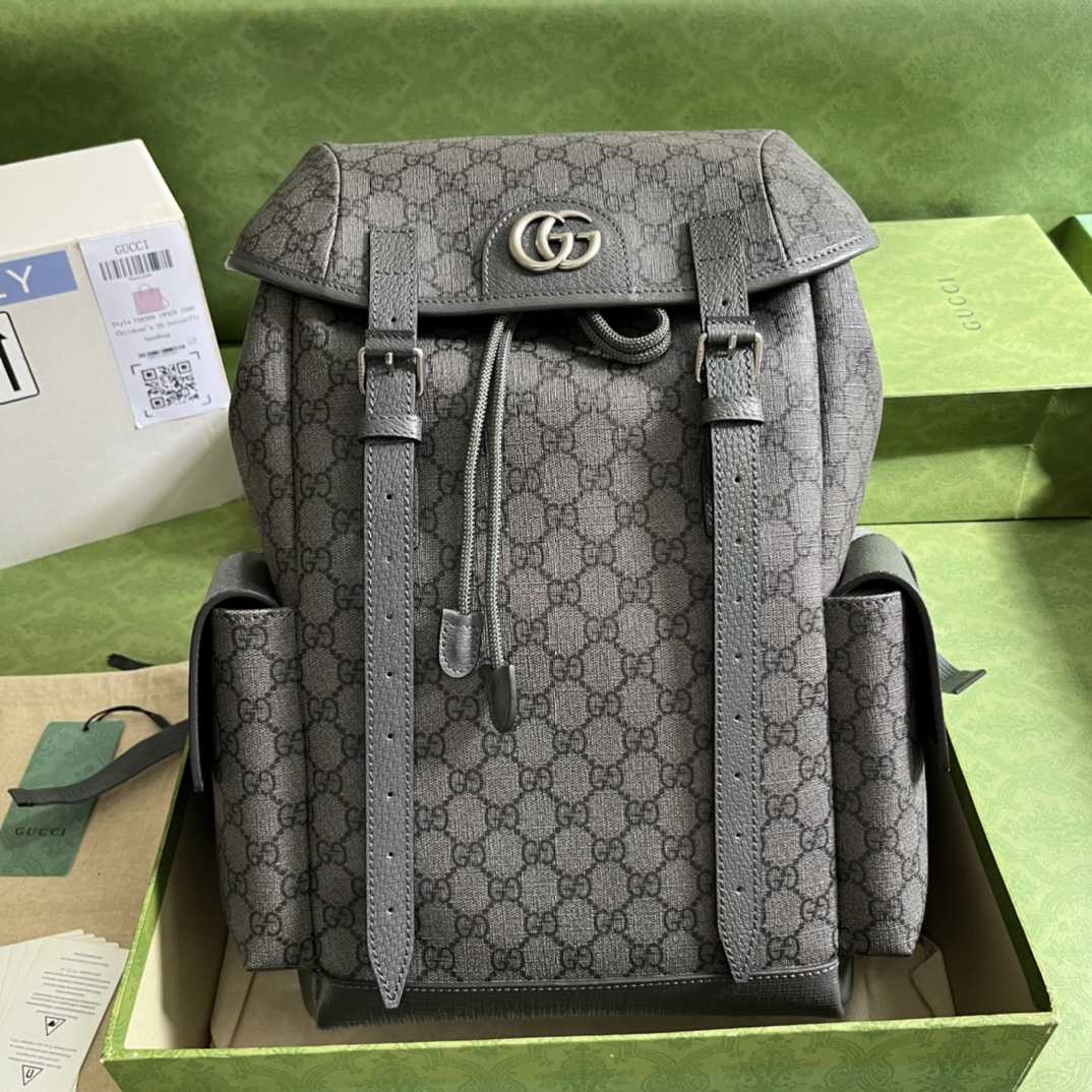 Gucci Ophidia GG Medium Backpack(24-40-16cm) - everydesigner