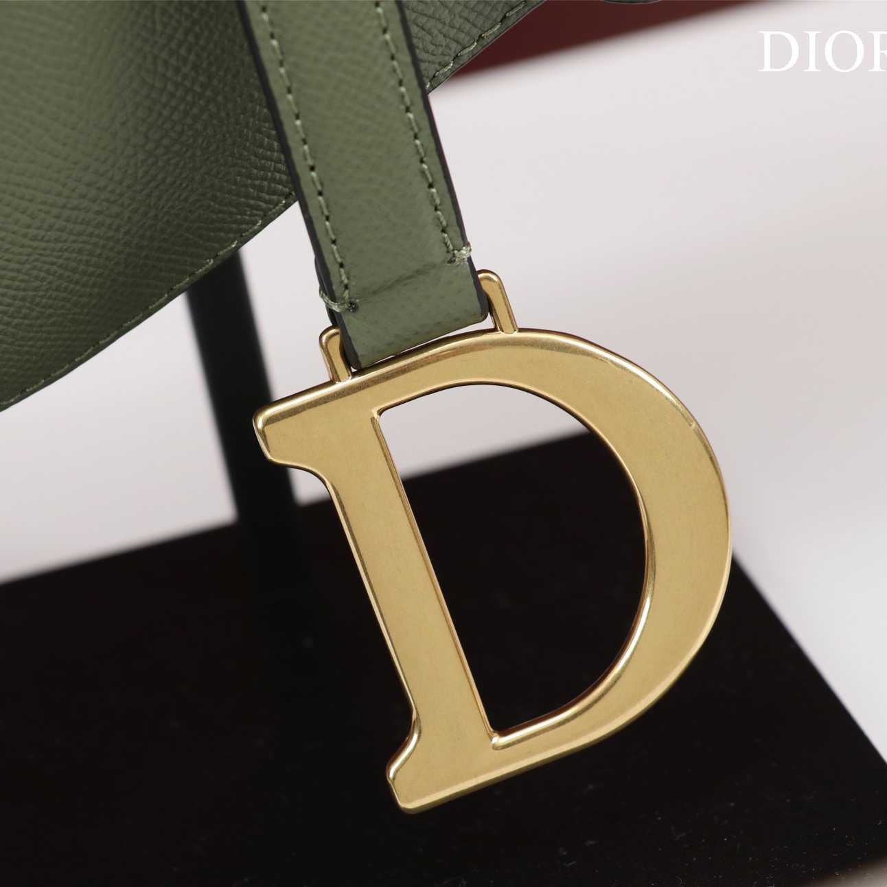 Dior Saddle Bag(25.5-20-6.5cm) - everydesigner