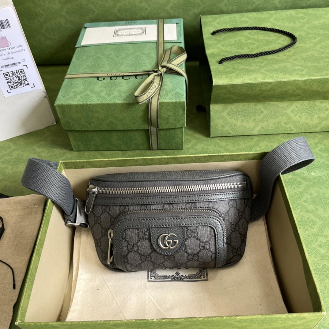 Gucci Ophidia Belt Bag(23-12-2.5cm) - everydesigner