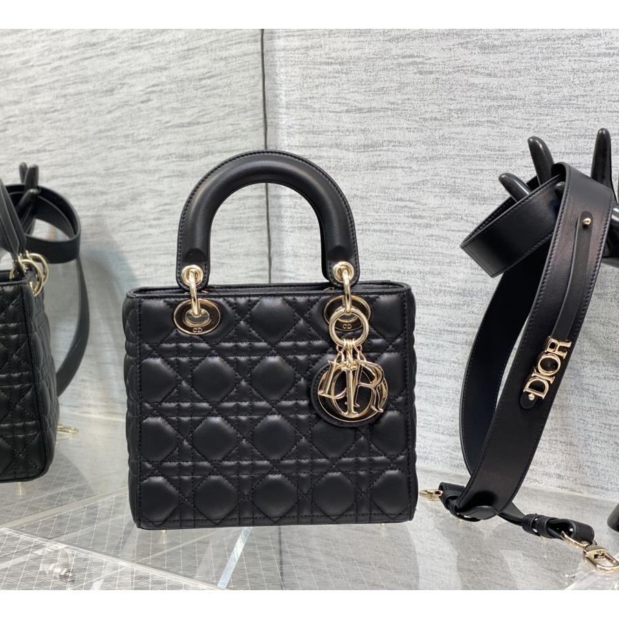 Dior Lady Bag    20cm - everydesigner