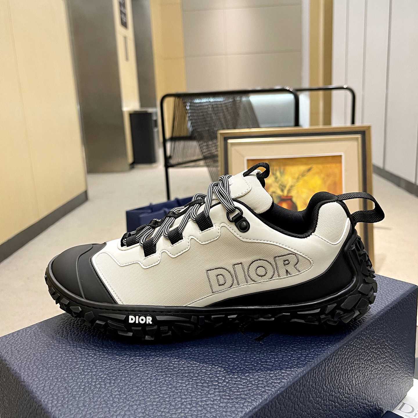 Dior Diorizon Hiking Shoe - everydesigner