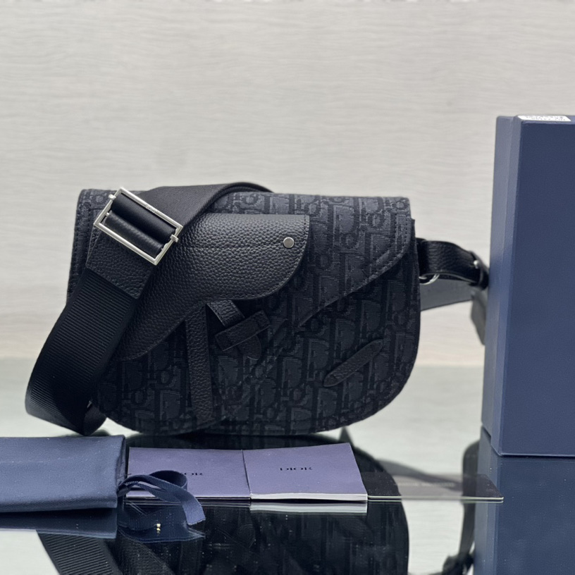 Dior Saddle Pouch - everydesigner