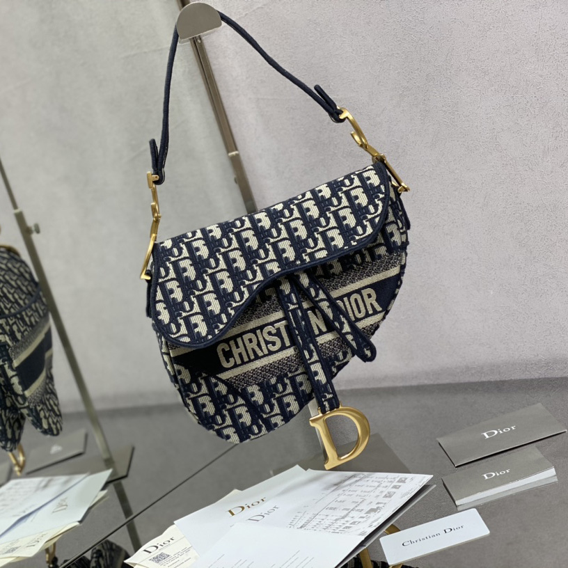 Dior Saddle Bag  - everydesigner