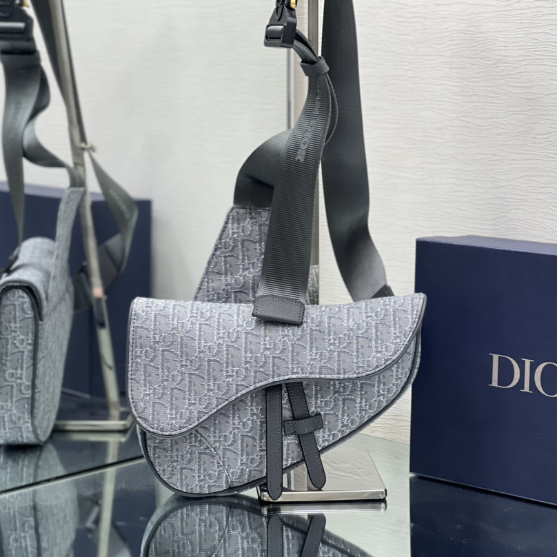 Dior Saddle Bag - everydesigner