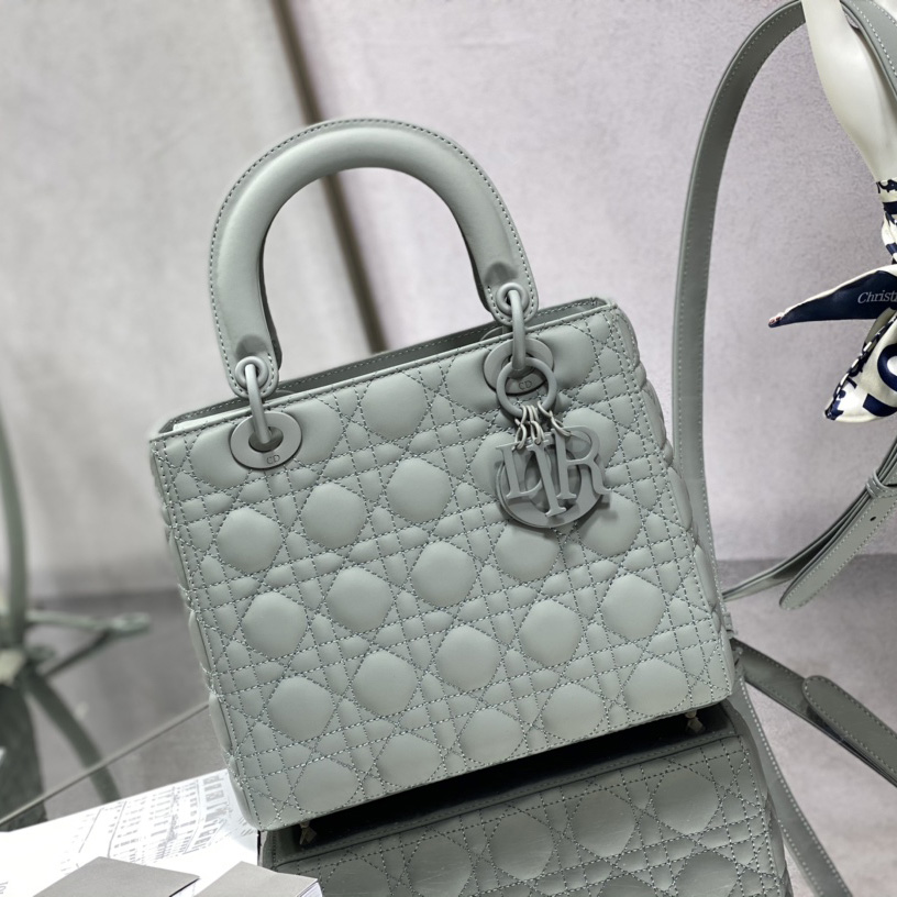 Dior Medium Lady Dior Bag - everydesigner