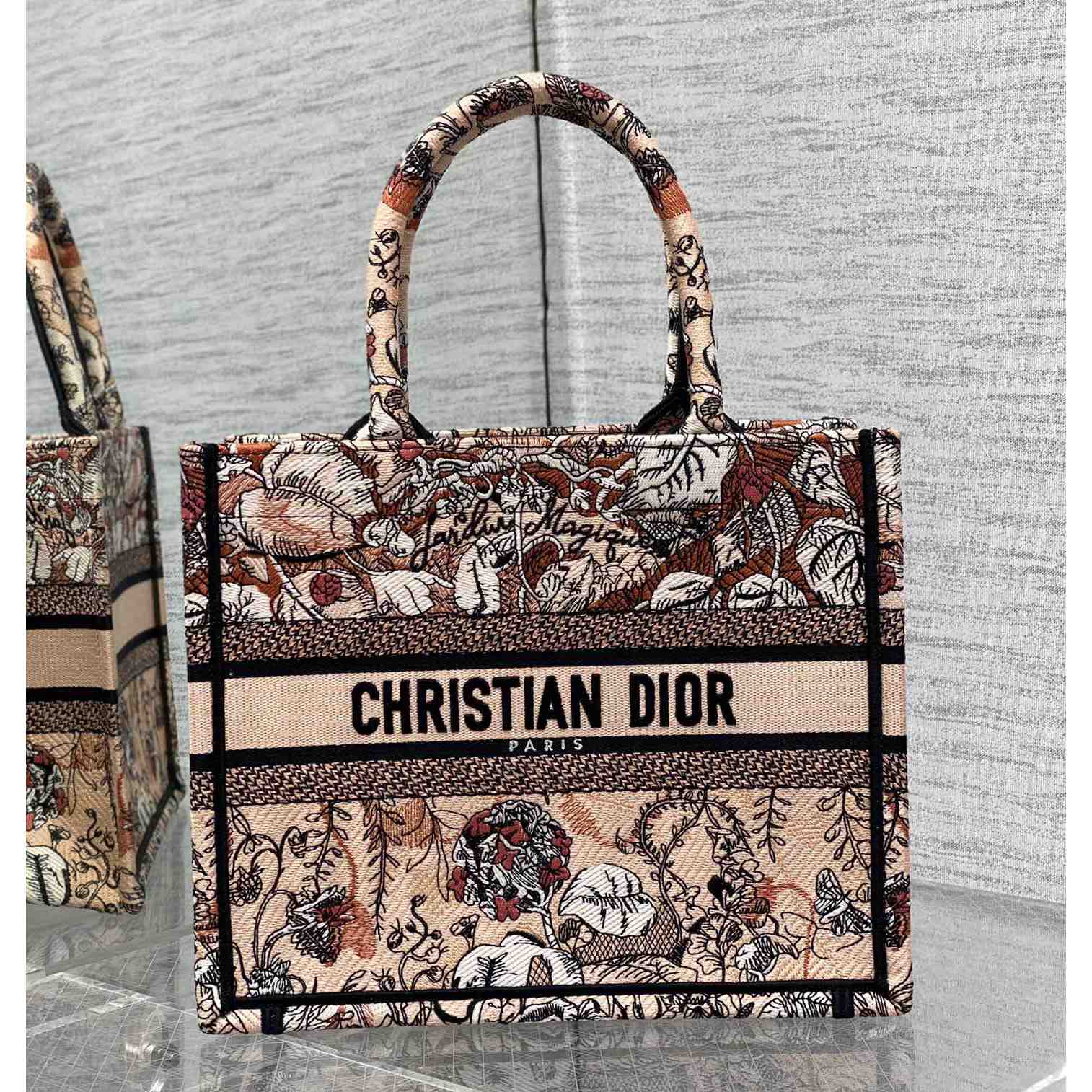 Dior Small Dior Book Tote - everydesigner