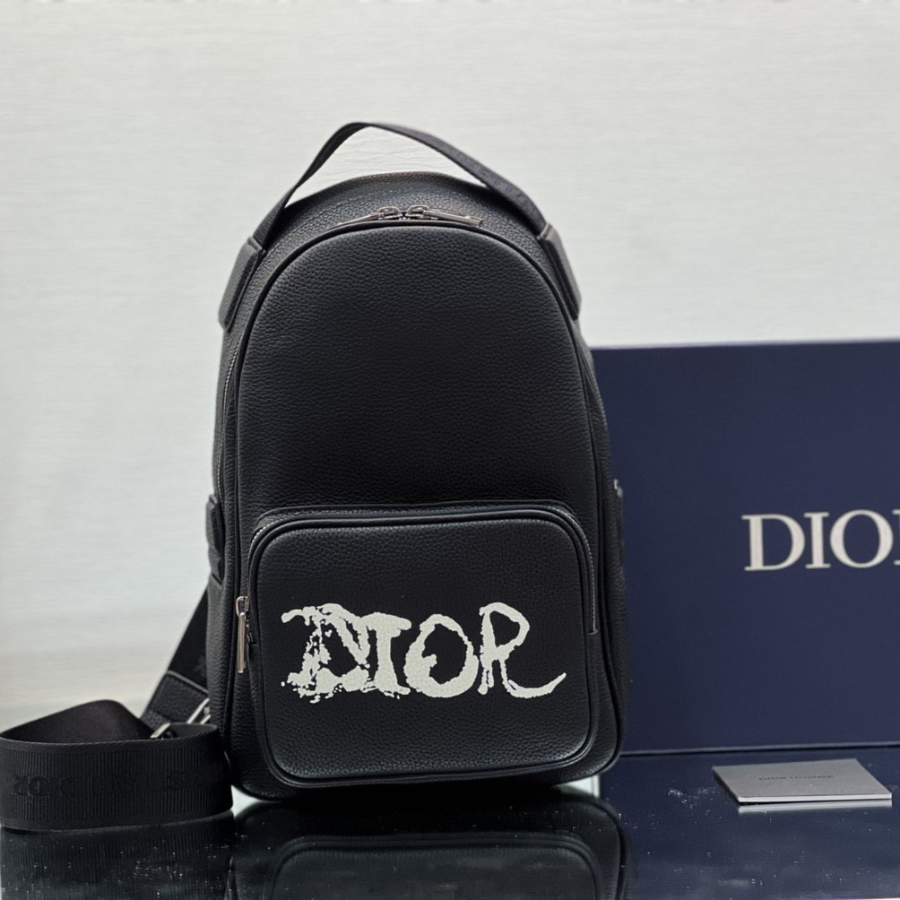 Dior x Peter Doig Sling Bag - everydesigner