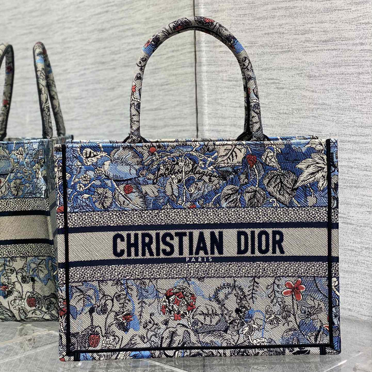 Dior Medium Dior Book Tote - everydesigner