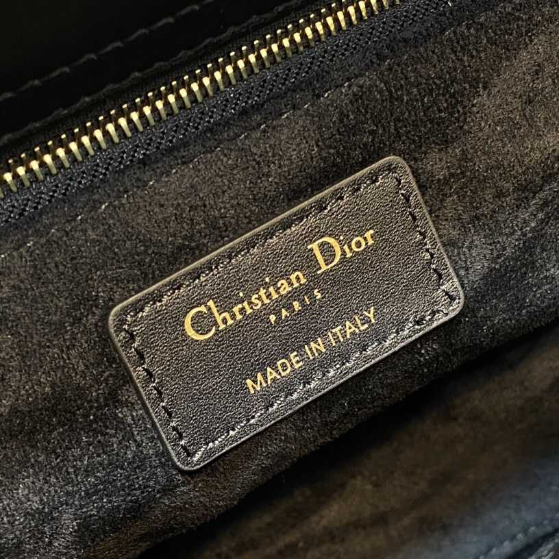 Dior Medium Lady Dior Bag  24cm - everydesigner