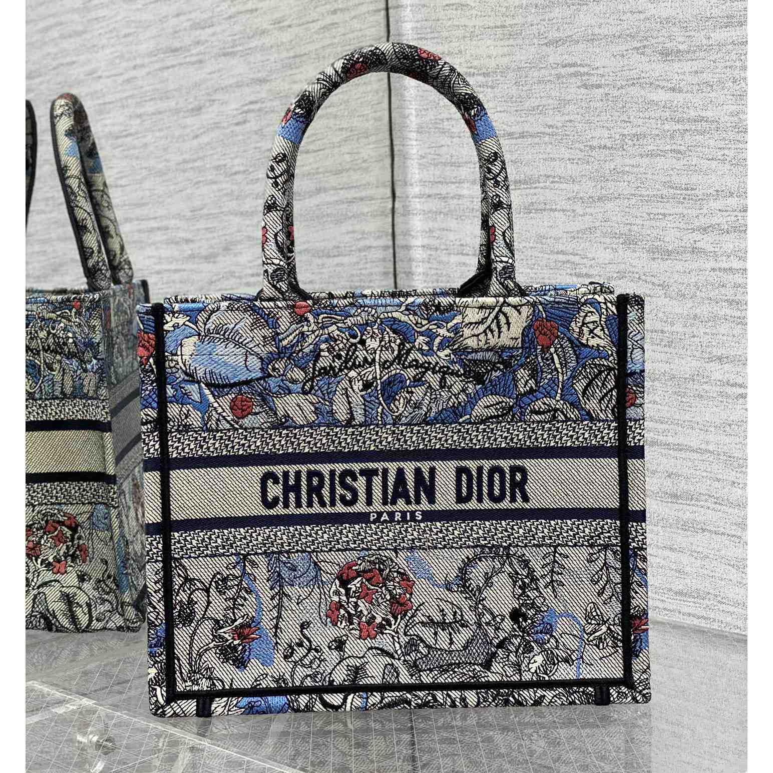 Dior Small Dior Book Tote - everydesigner