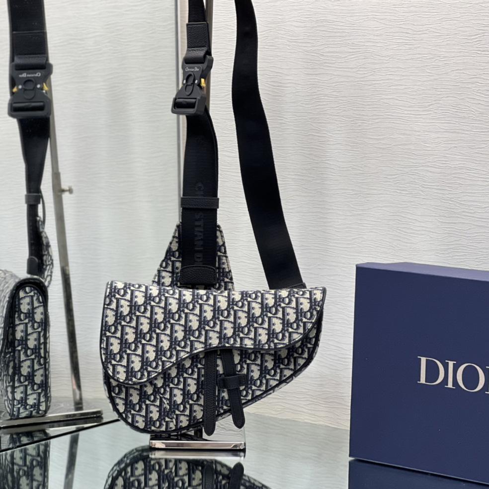 Dior Saddle Bag - everydesigner