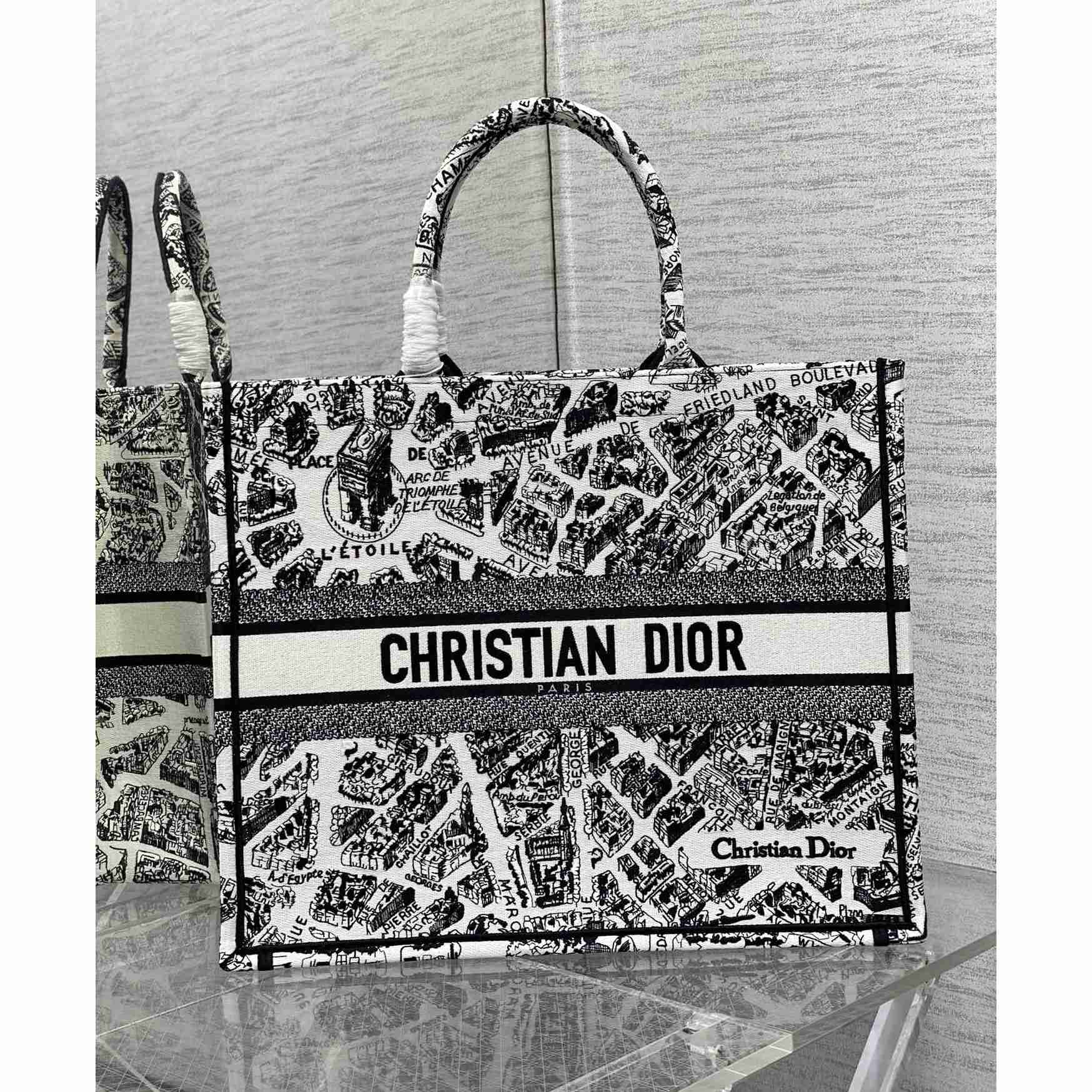 Dior Large Dior Book Tote - everydesigner