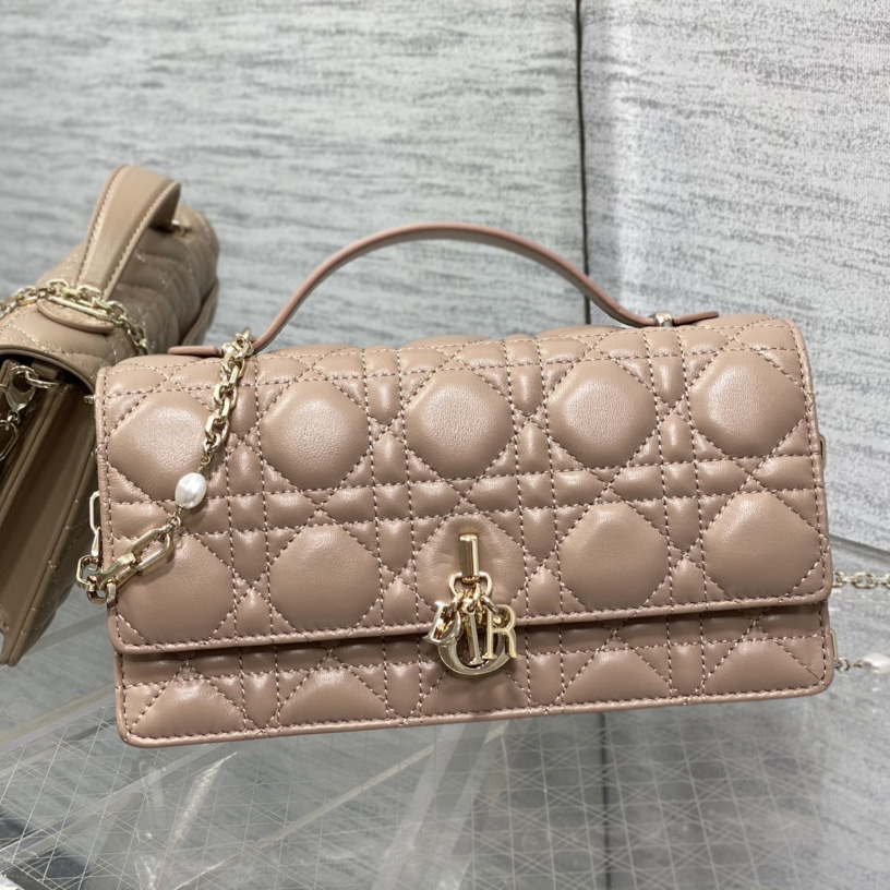 Dior Miss Dior Mini Bag - everydesigner