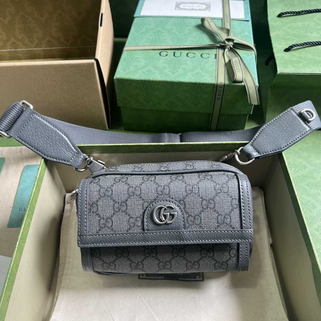 Gucci Ophidia GG Mini Bag(20-12.5-9cm)    - everydesigner