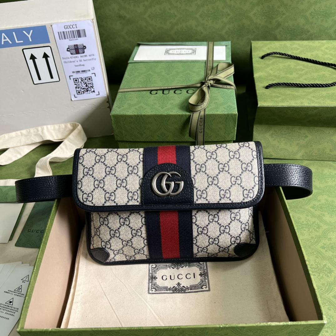 Gucci Ophidia Belt Bag(22*17*3.5cm) - everydesigner