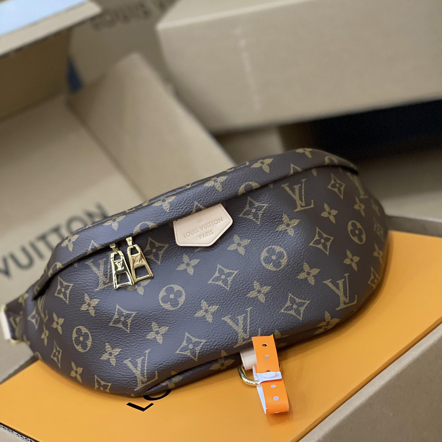 Louis Vuitton Bumbag(37-14-13cm)      M43644 - everydesigner