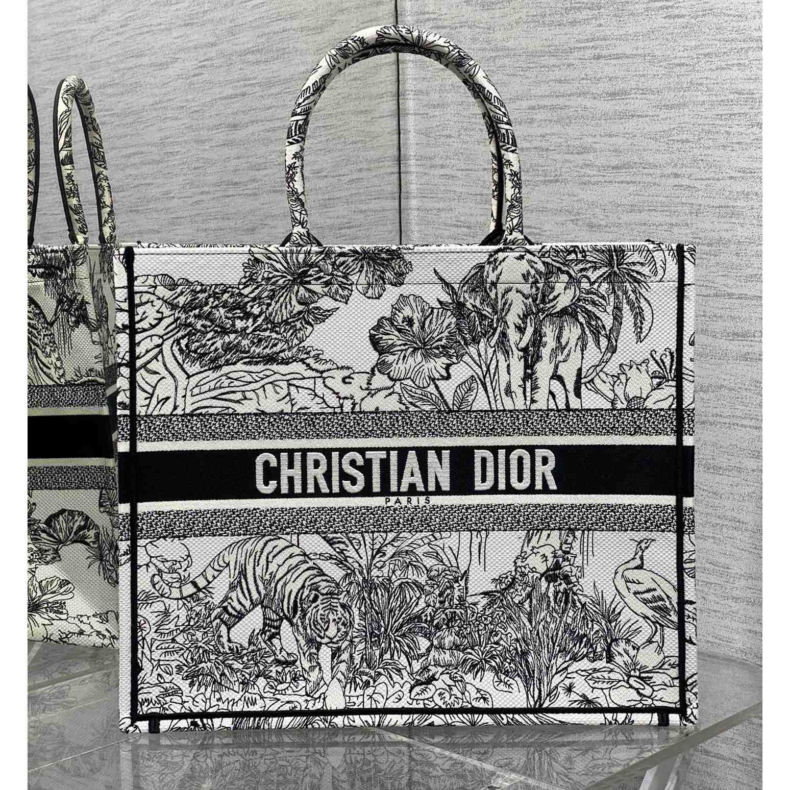 Dior Large Dior Book Tote - everydesigner