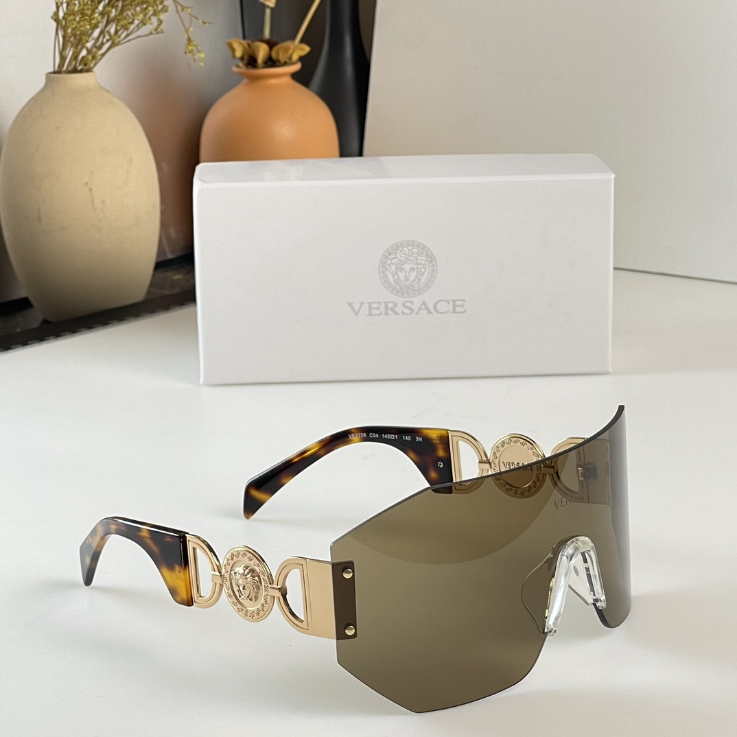 Versace Medusa Biggie Mask Sunglasses   VE2258 - everydesigner