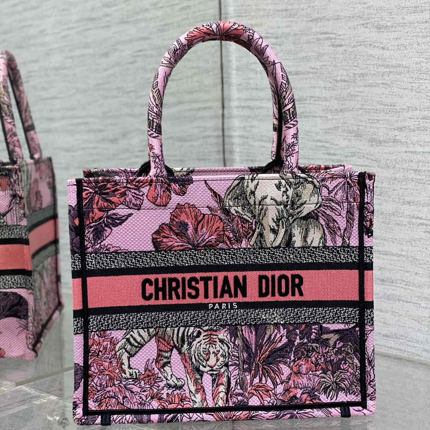 Dior Small Dior Book Tote - everydesigner