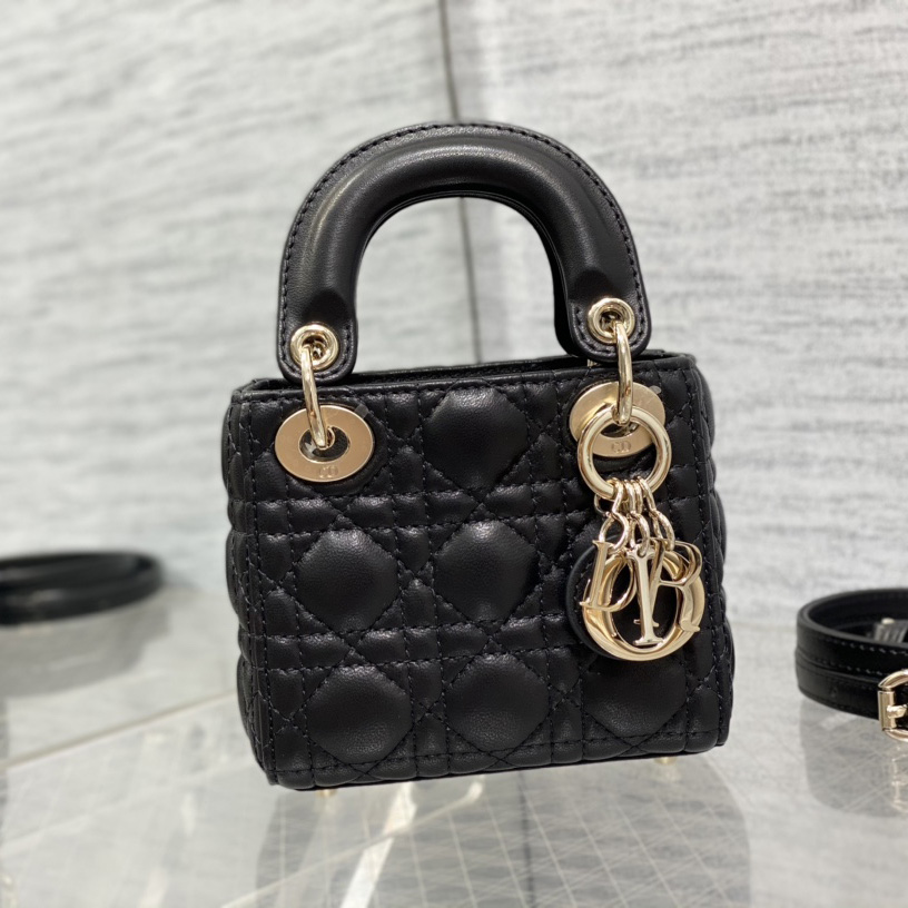 Dior Lady Dior Micro Bag - everydesigner