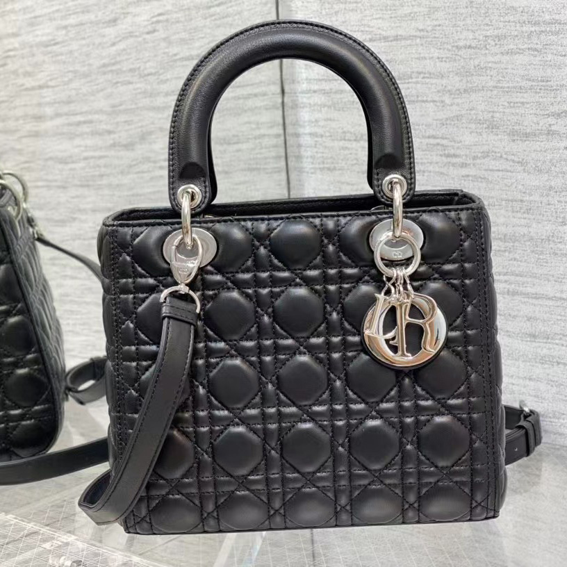 Dior Medium Lady Dior Bag - everydesigner