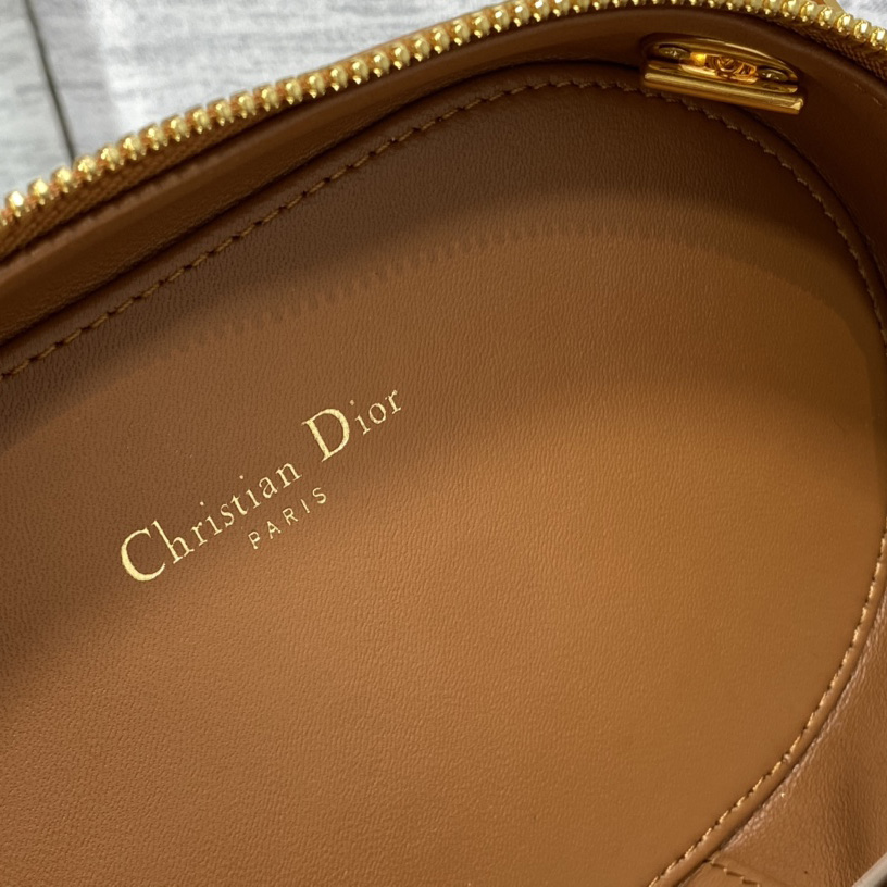 Dior CD Signature Oval Camera Bag - everydesigner