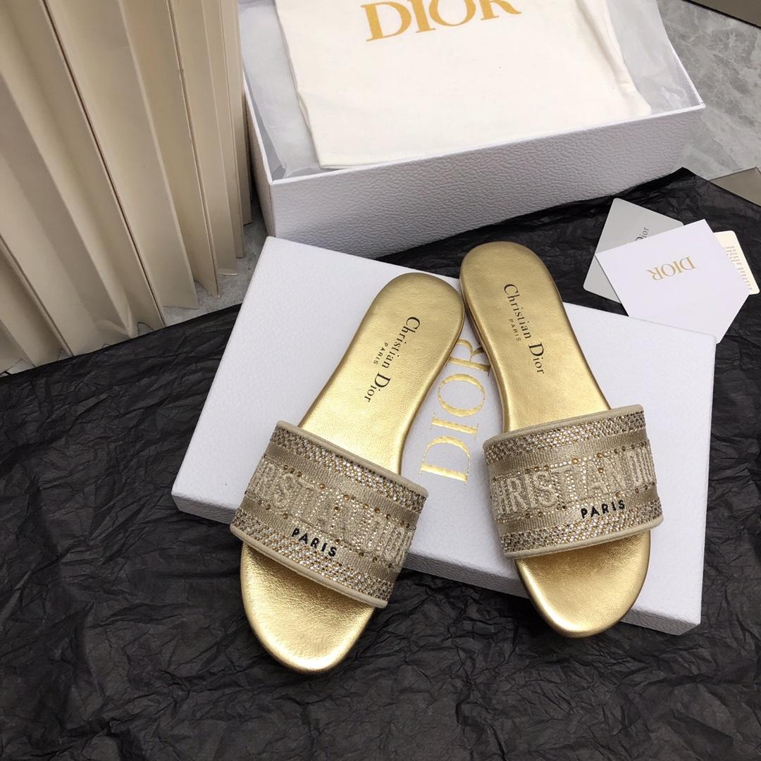 Dior Dway Slide - everydesigner