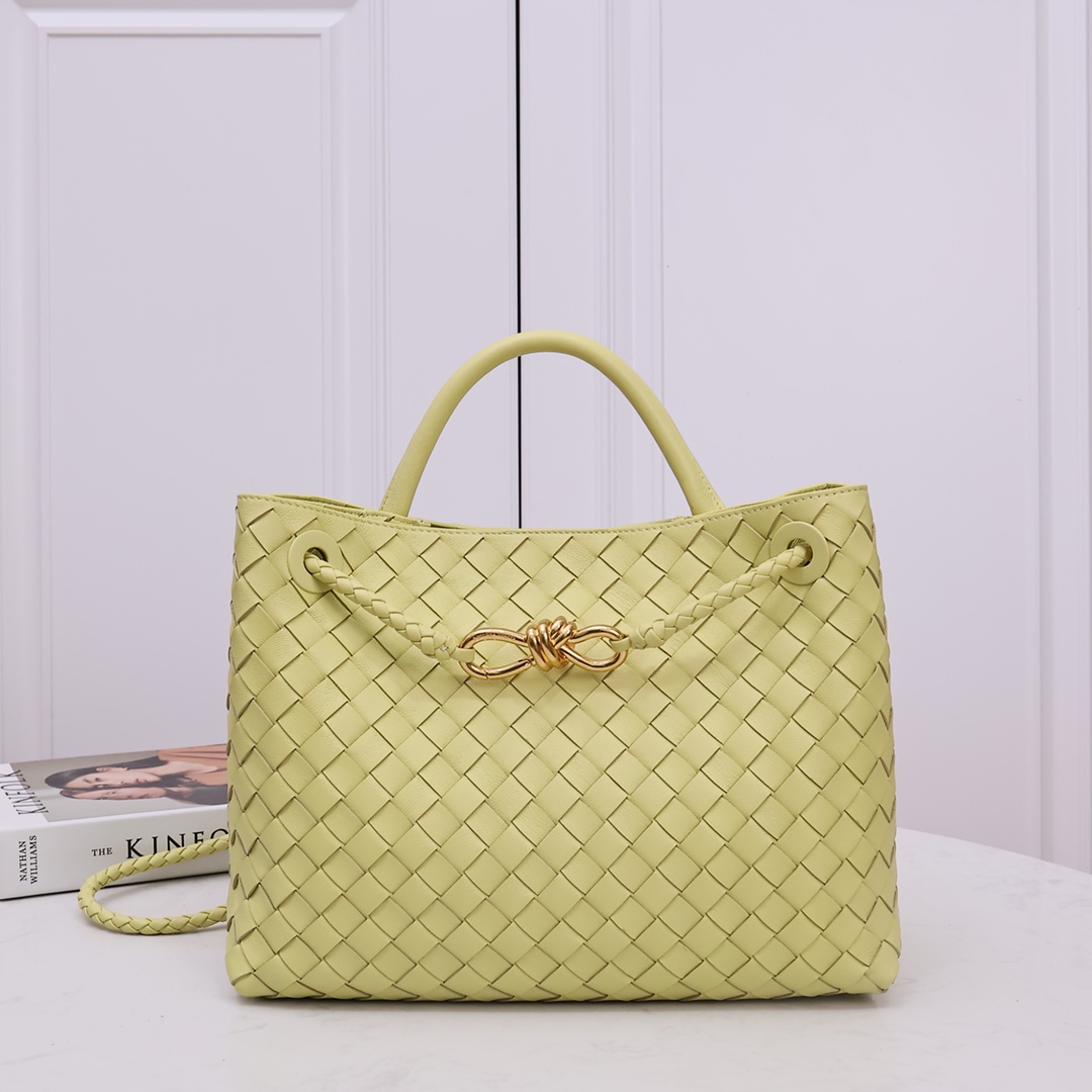 Bottega Veneta Medium Andiamo - everydesigner