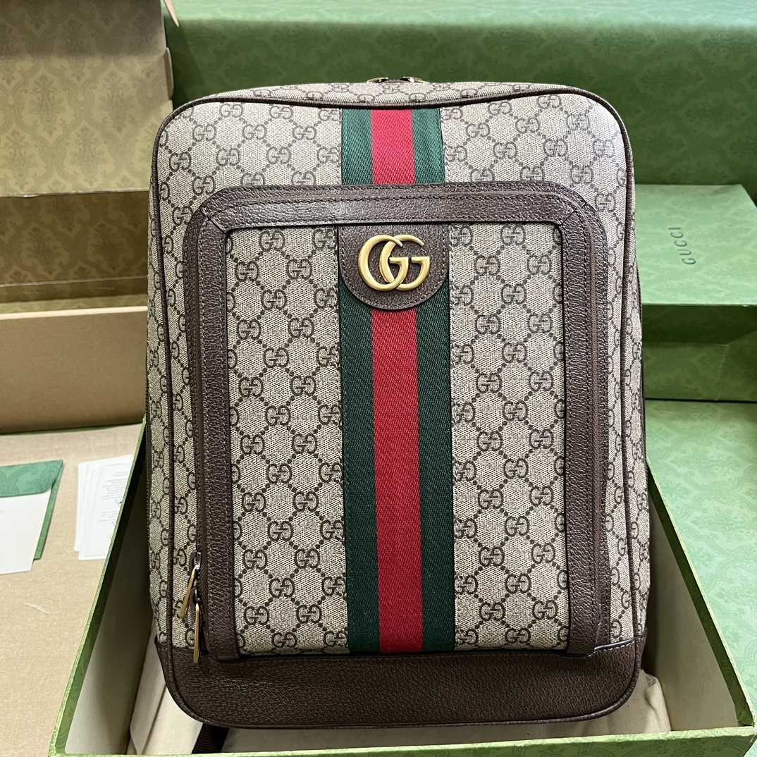 Gucci Ophidia GG Medium Backpack (40-30-14cm) - everydesigner