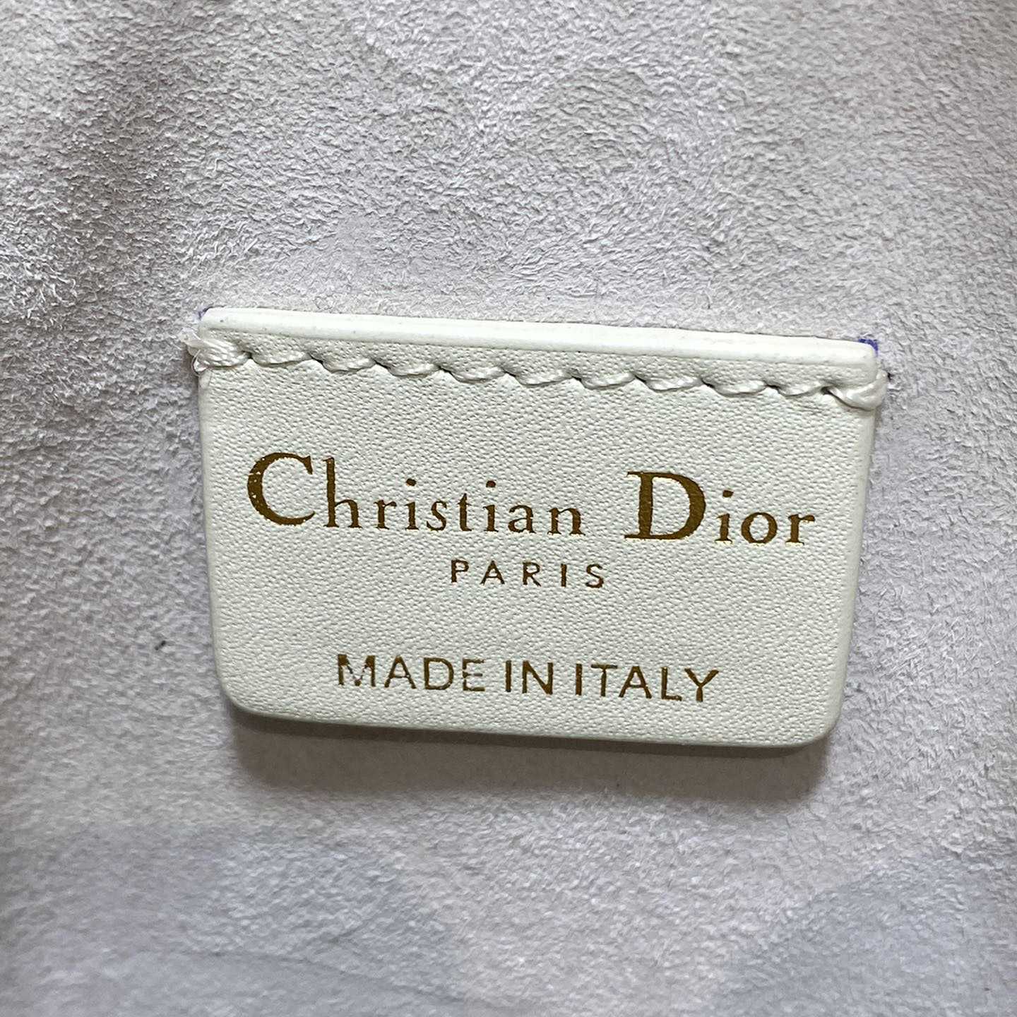 Dior Small C'est Dior Bag  - everydesigner