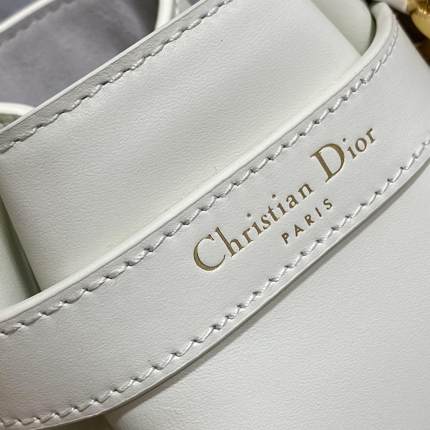 Dior Small C'est Dior Bag  - everydesigner