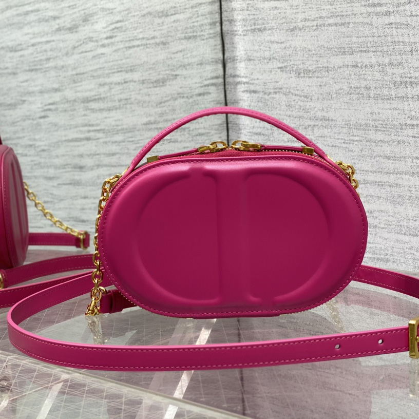 Dior CD Signature Oval Camera Bag - everydesigner