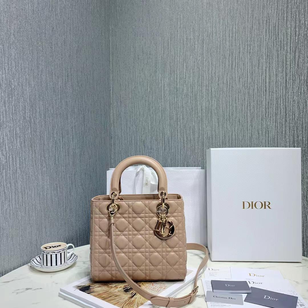 DiorLady Dior Bag  20cm - everydesigner