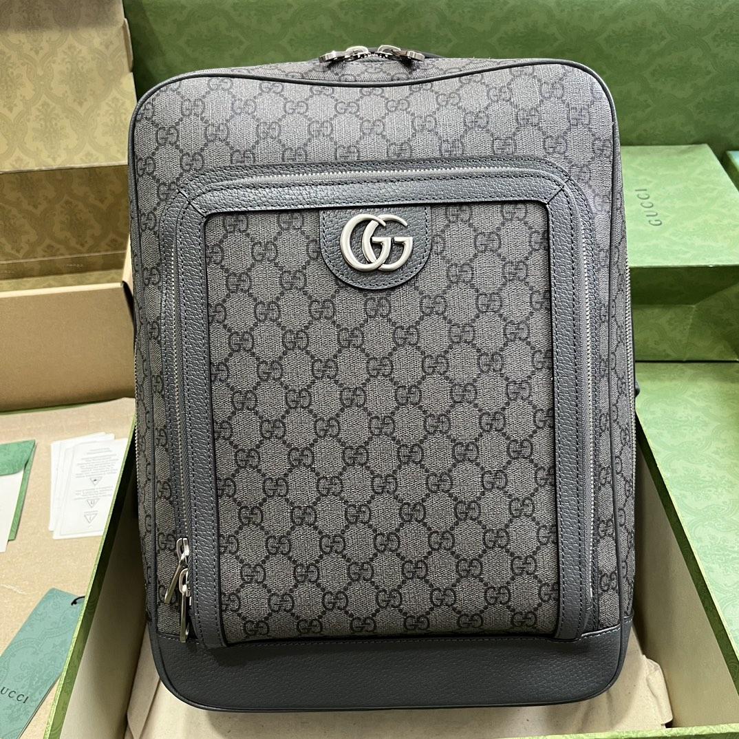 Gucci Ophidia GG Medium Backpack (40-30-14cm) - everydesigner