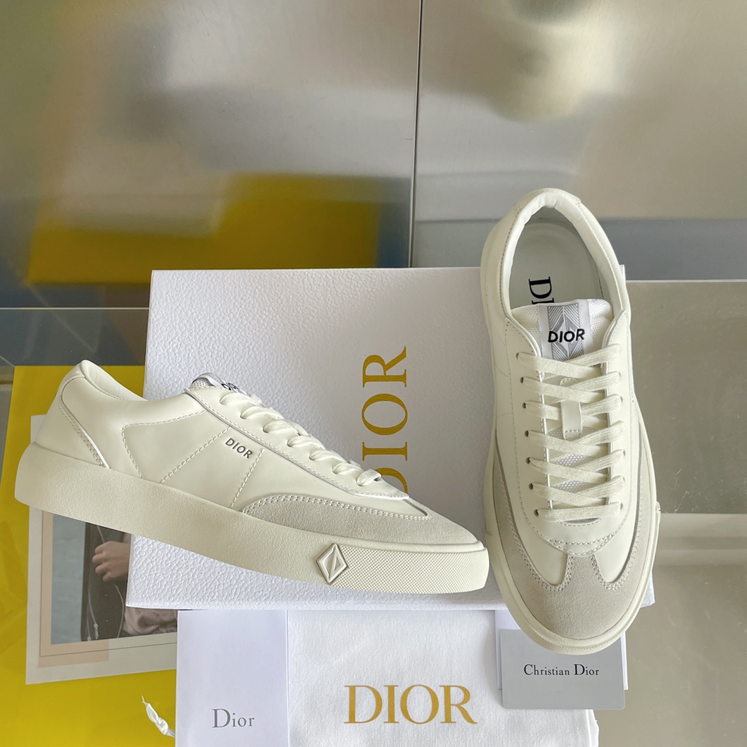 Dior B101 sneaker  - everydesigner