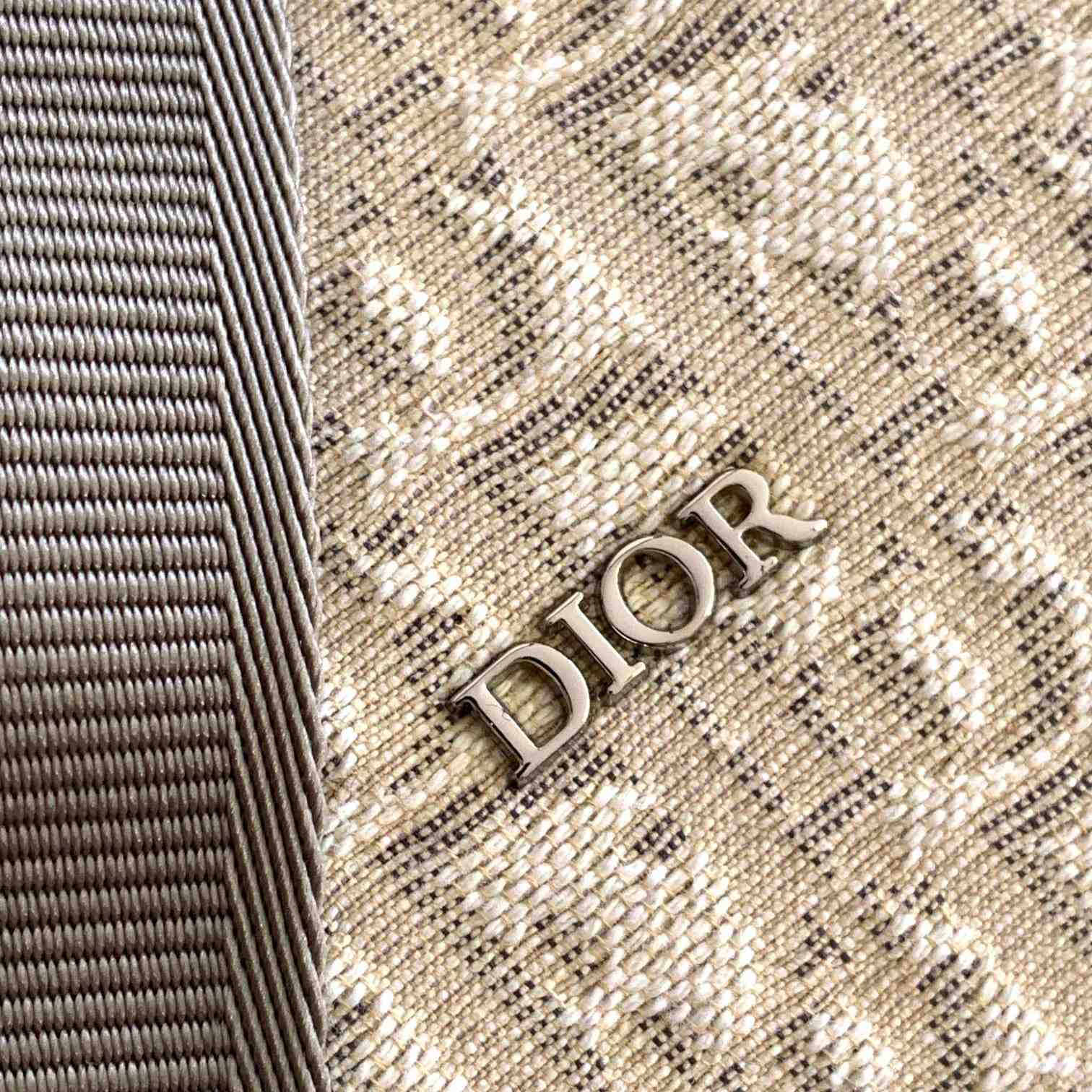 Dior Lingot 50 Bag - everydesigner