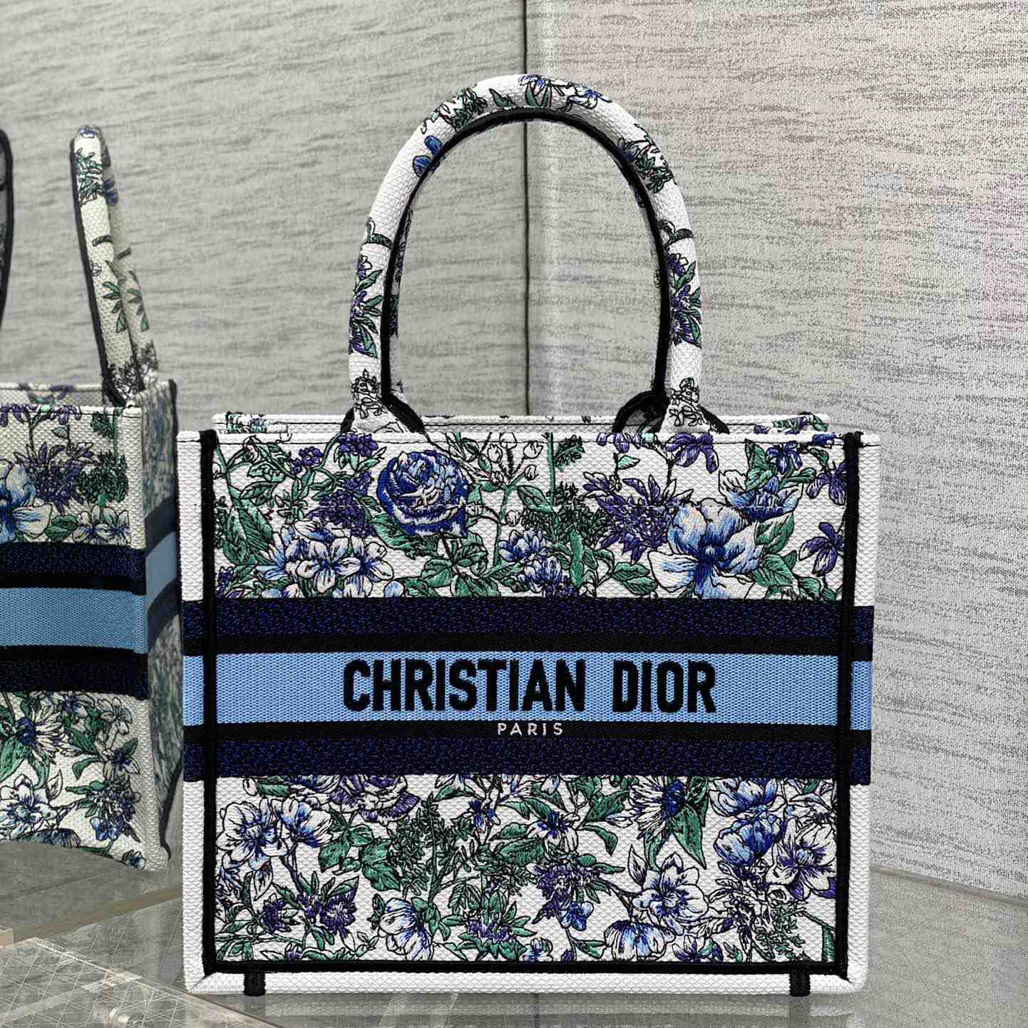 Dior Small Dior Book Tote - everydesigner