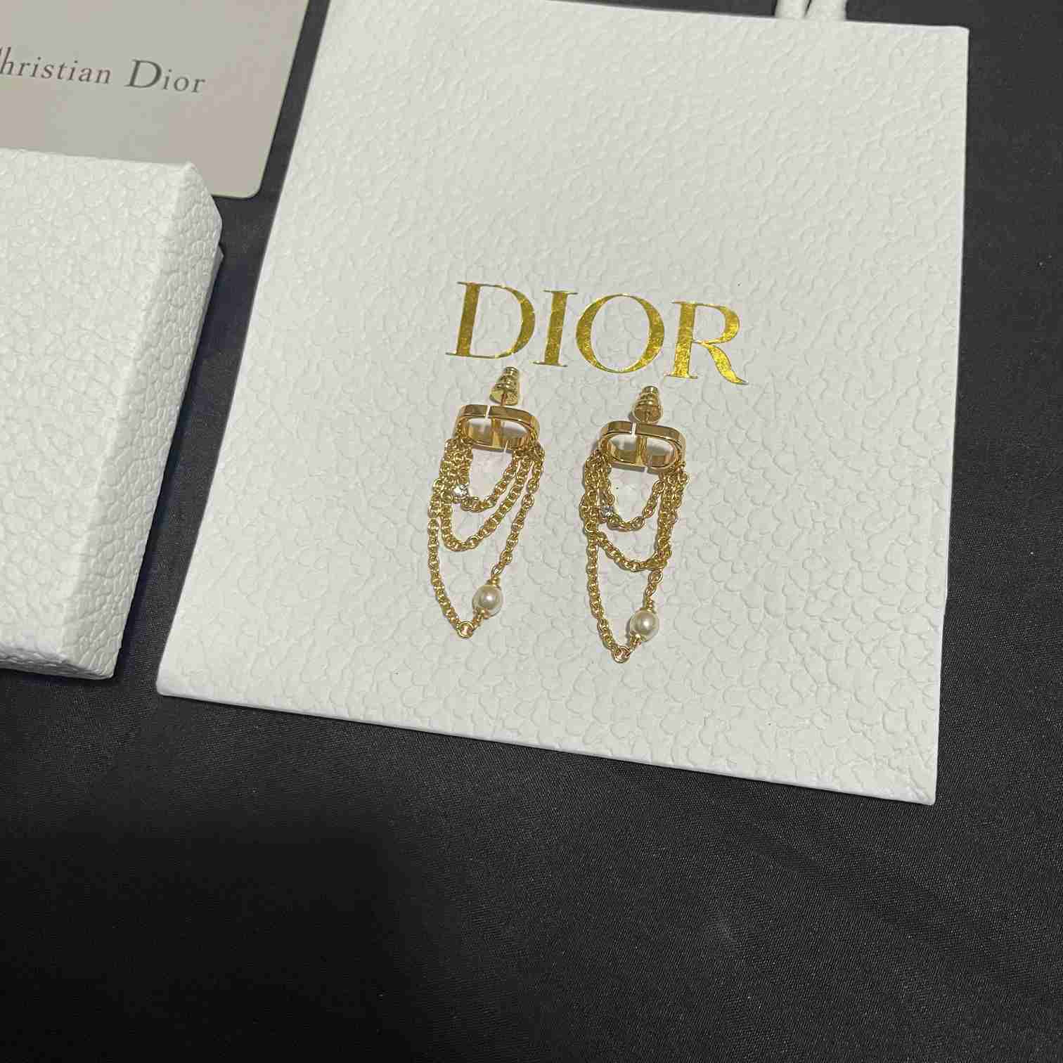 Dior Petit CD Earrings  - everydesigner