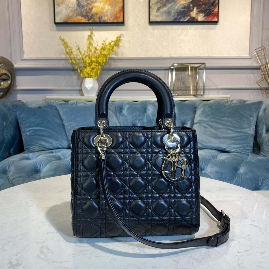 Dior Medium Lady Dior Bag - everydesigner